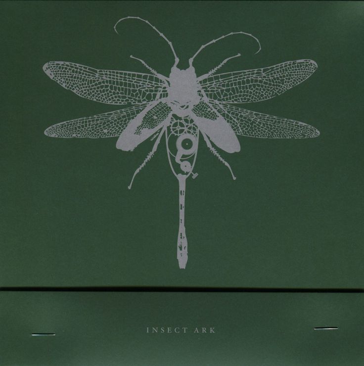 collapsar piledriv insect ark 