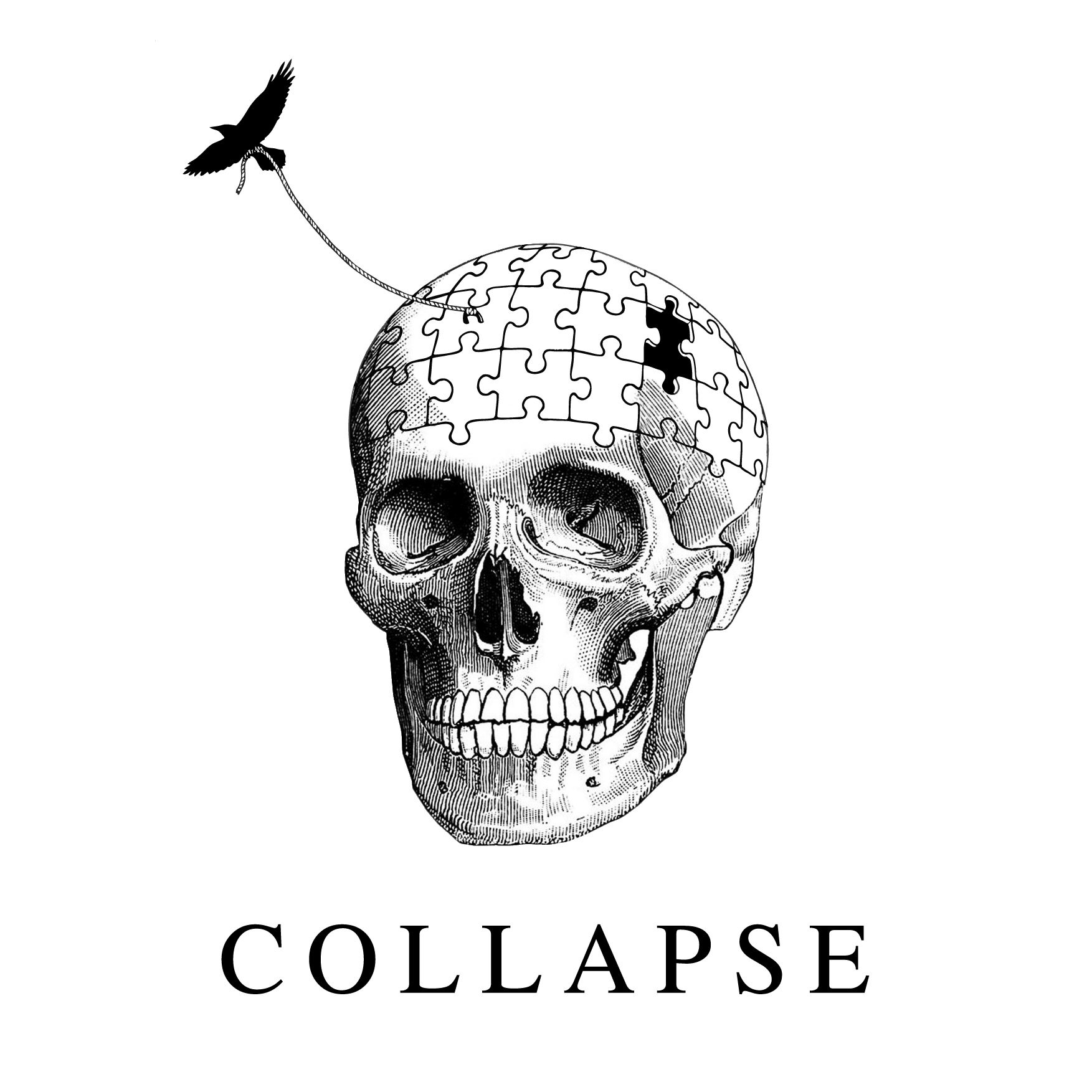 collapse mr morse 