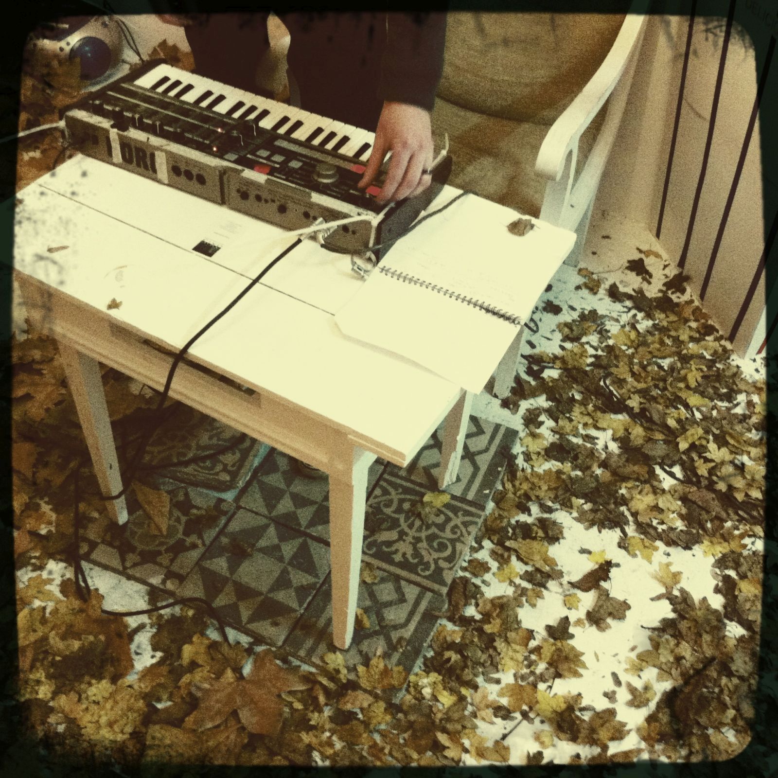 collected moments antilope 