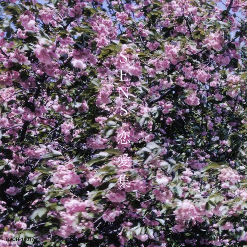 collection of love sens 