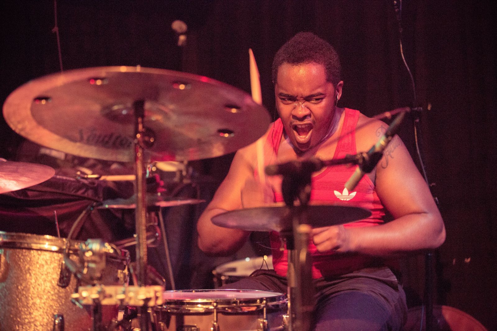 collection evan marien x dana h 