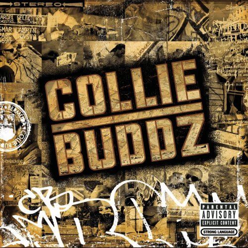 collie buddz collie buddz 