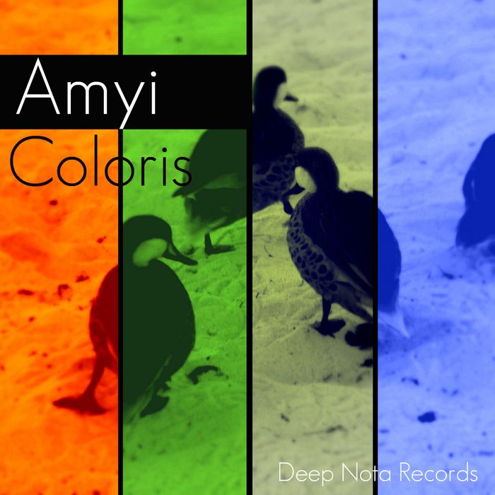 coloris amyi  