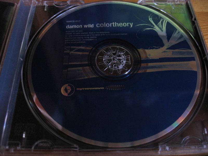 colortheory damon wild 