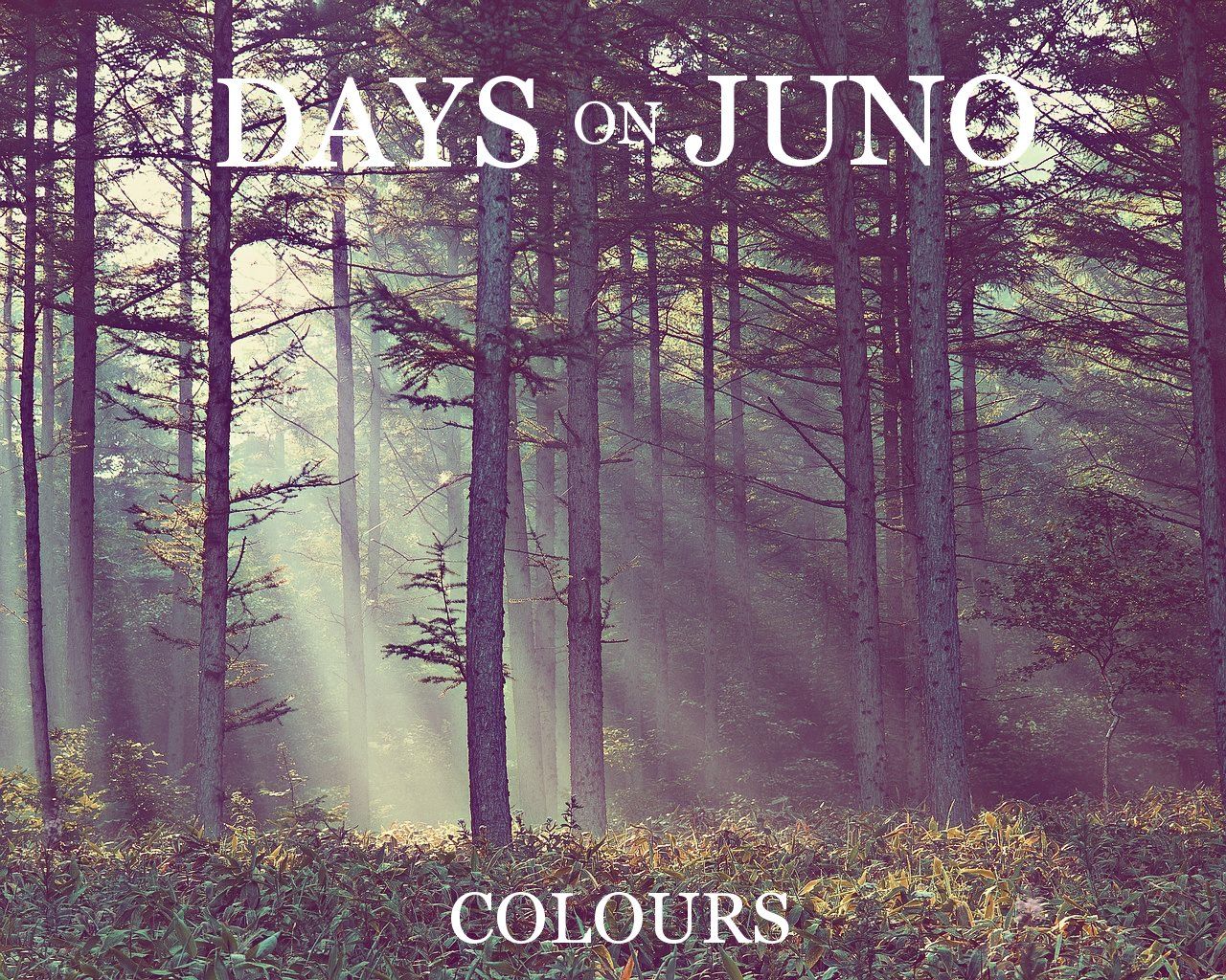 colours days on juno 