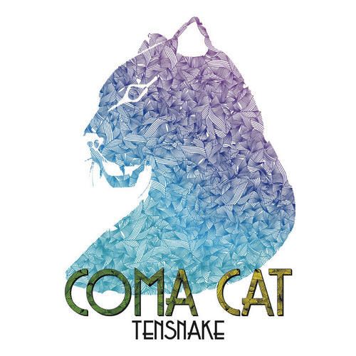coma cat tensnake 