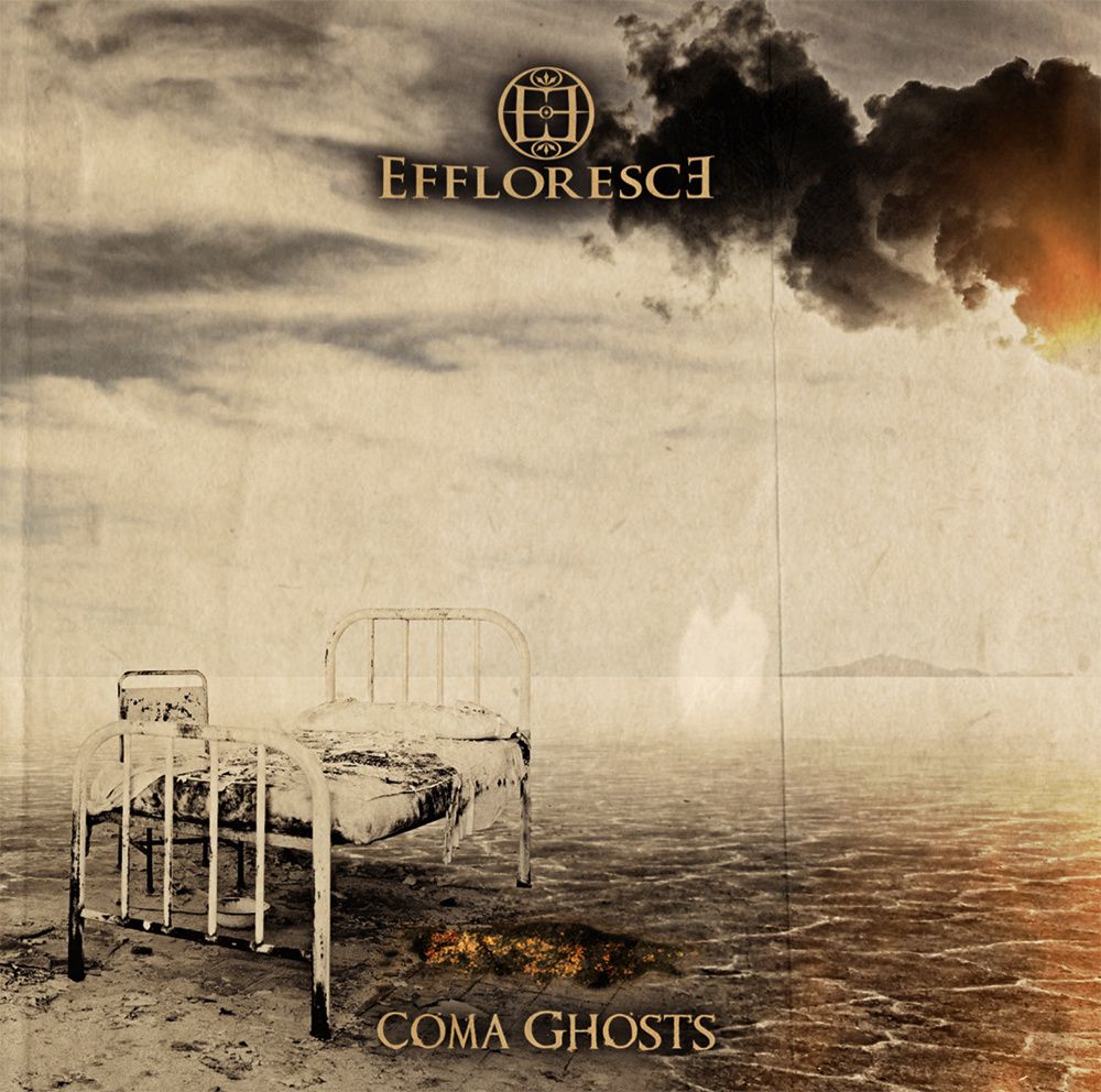 coma ghosts effloresce  