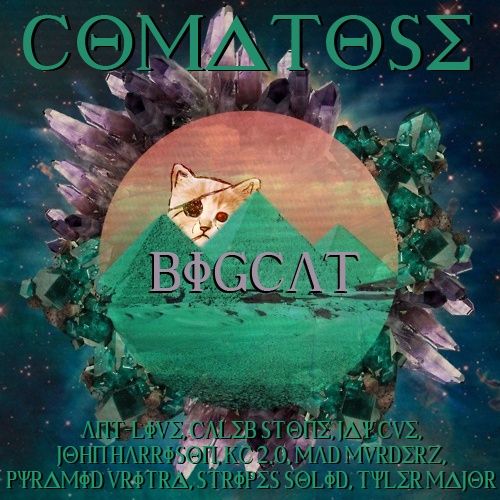 comatose bigcat  