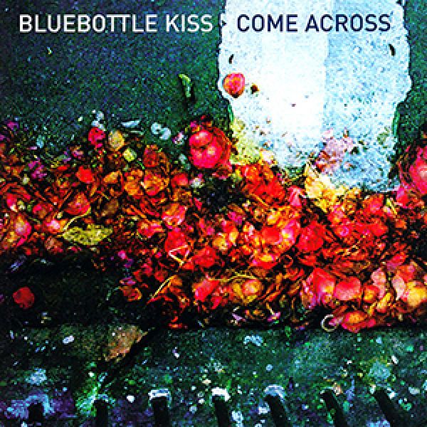 come across bluebottle kiss  
