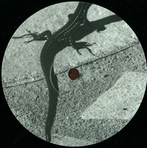 come behind the tree joey anderson 