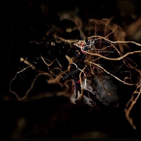 come mierda fractional 