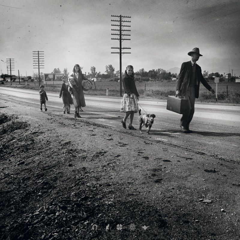 come what may i pilot daemon 