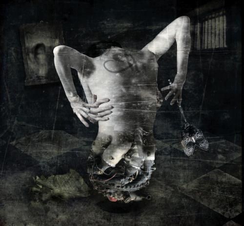 come with reverse come with reverse 