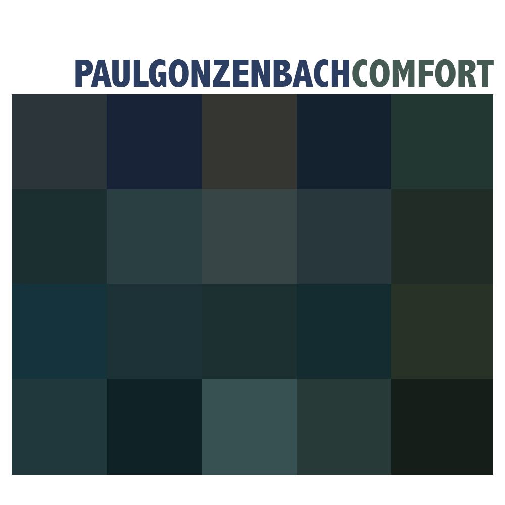 comfort paul gonzenbach  