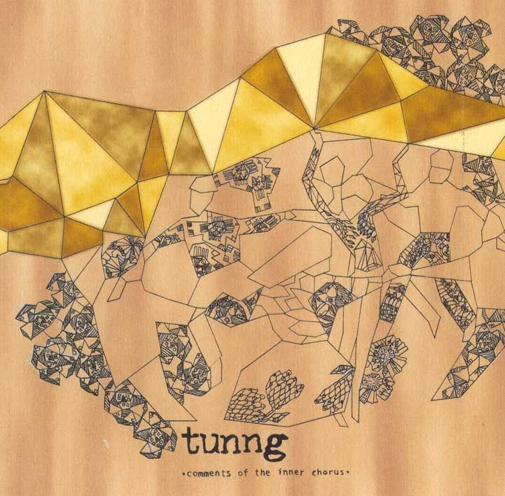 comments of the inne tunng 