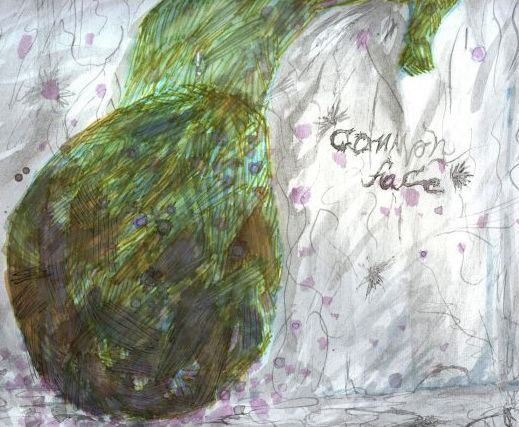 common face common face  