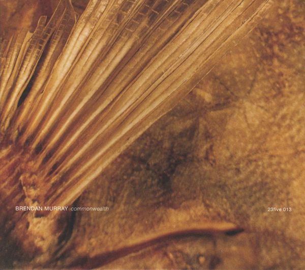 commonwealth brendan murray 