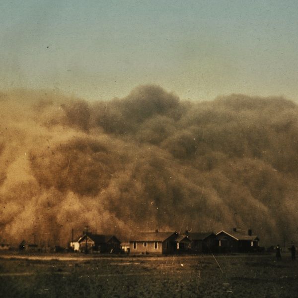 commotus lucrecia dalt  