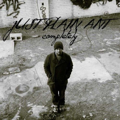 completely just plain ant 