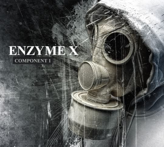 component 1 enzyme x 