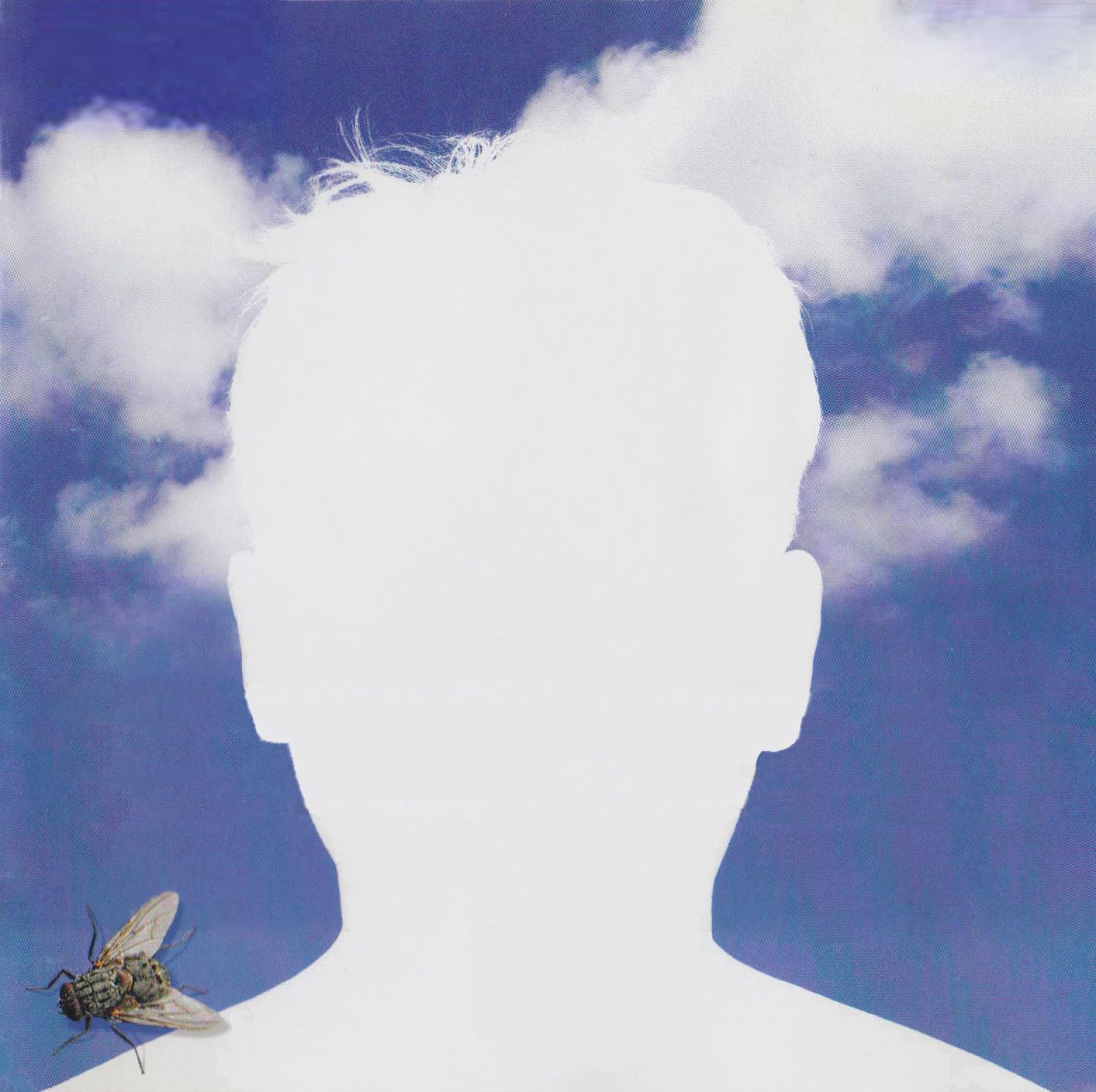 composers voice bruce collings 