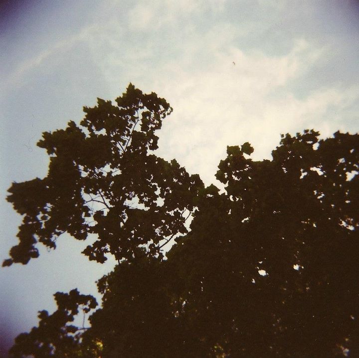 concealed affection prince ashitaka 