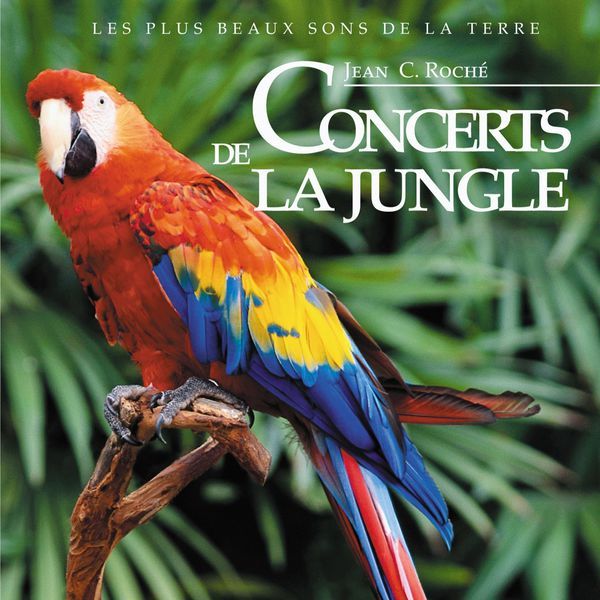 concerts de la jungl jean claude roche 