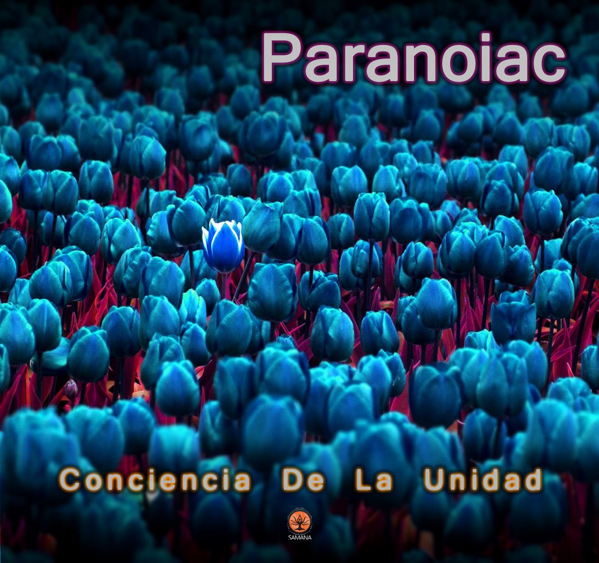conciencia de la uni paranoiac 