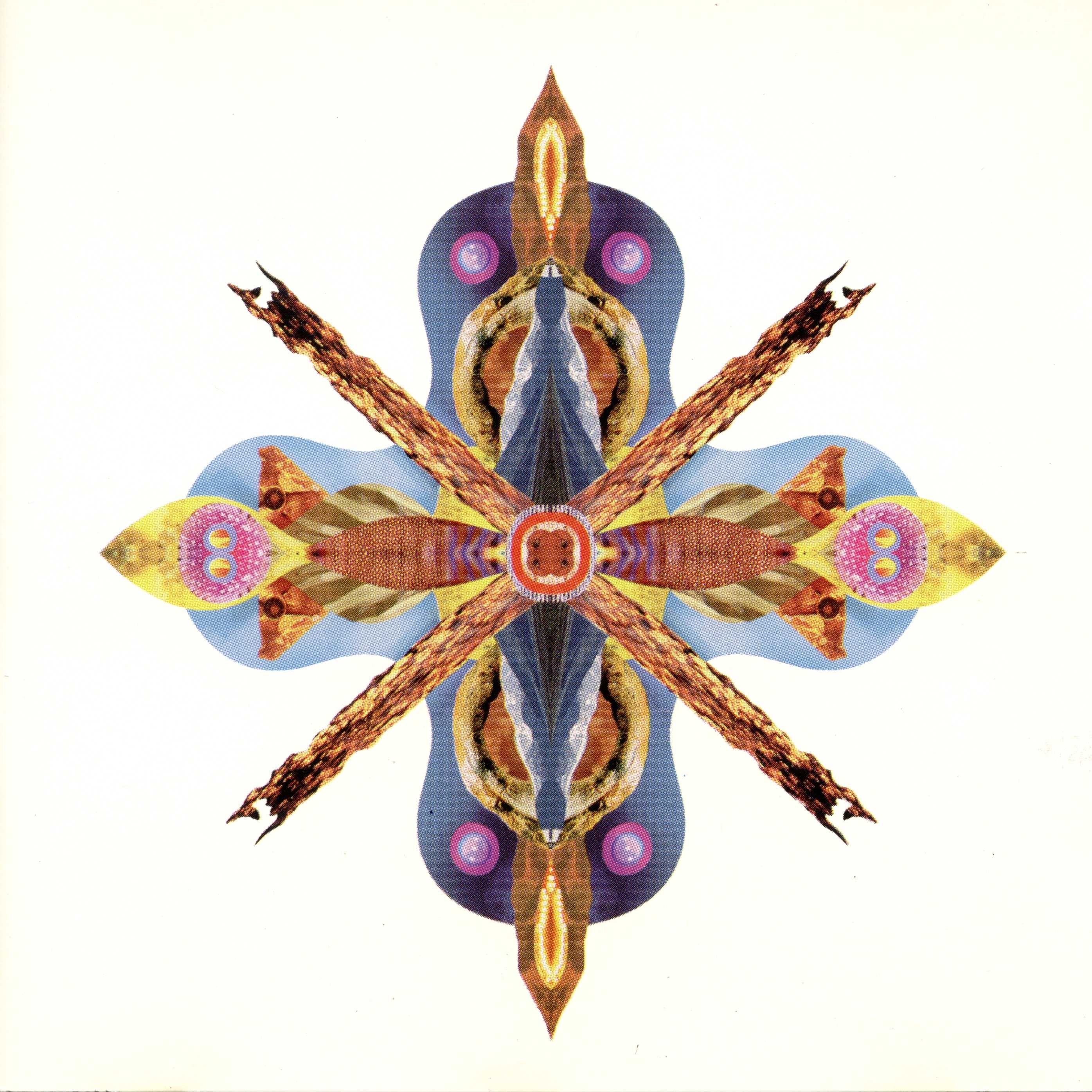 concision anthony manning 