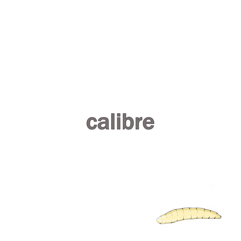 condition calibre 