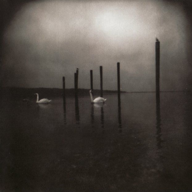 conference of the bi om 