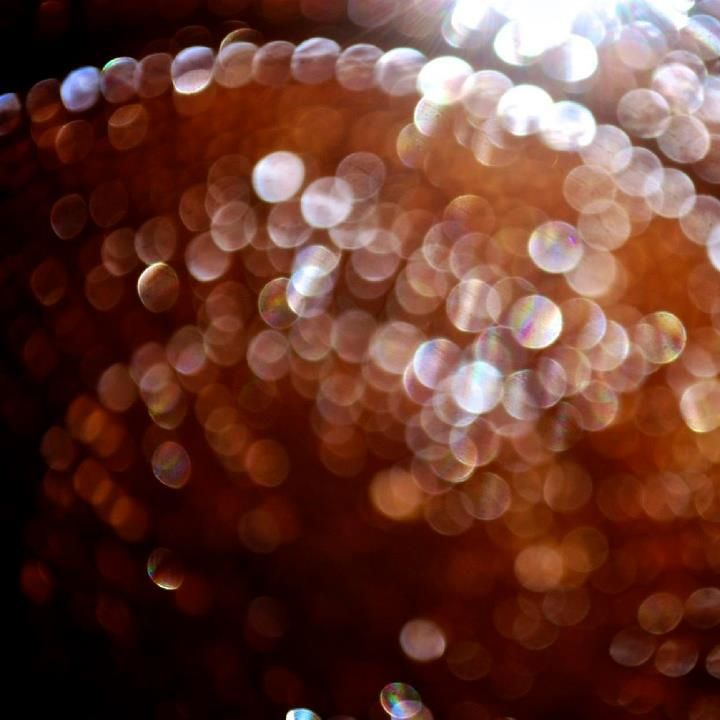 confetti dreams confetti dreams 