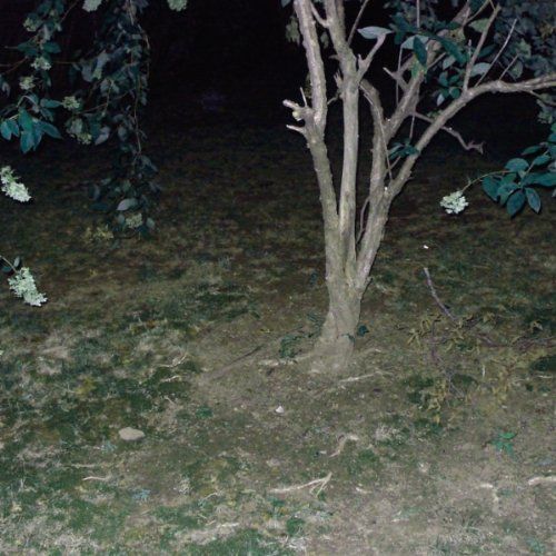 confidence lodge jon mckiel 