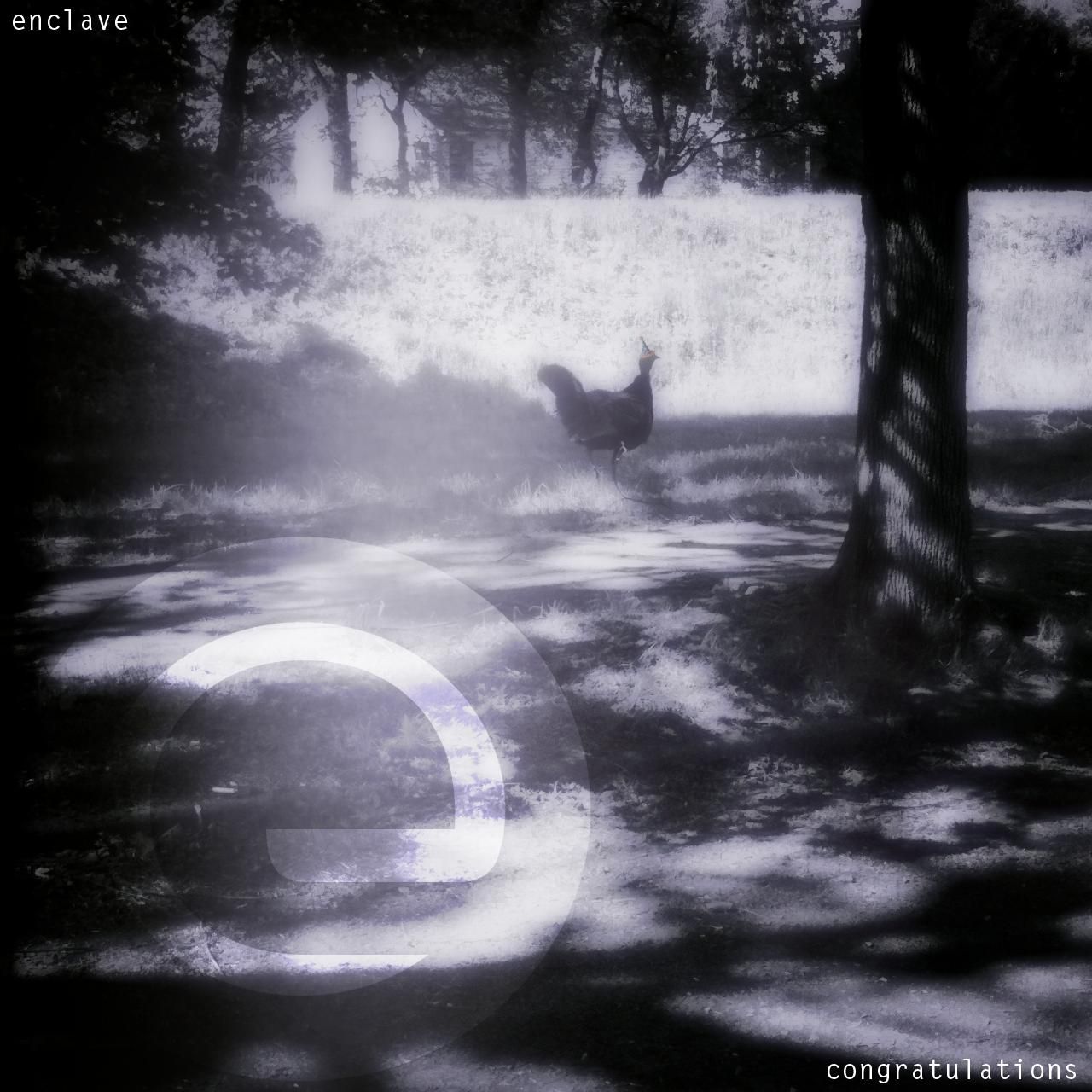 congratulations enclave 