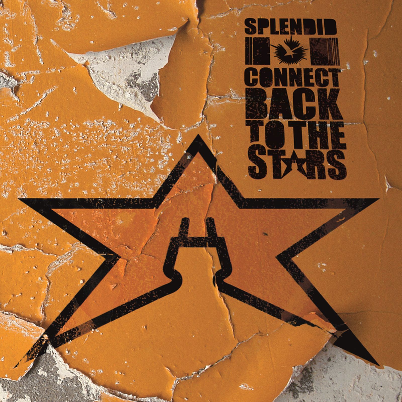 connect back to the splendid 