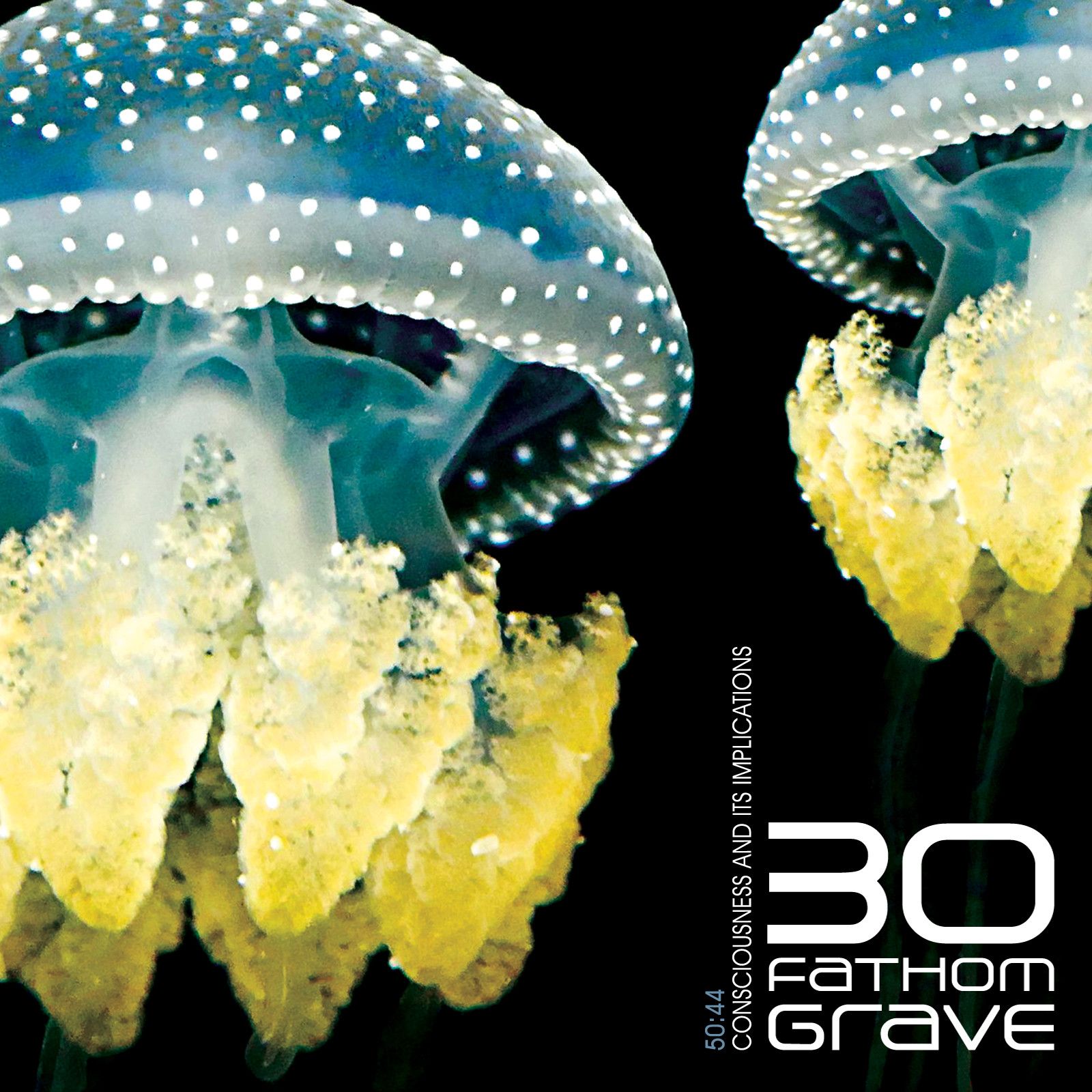 consciouness and its 30 fathom grave 