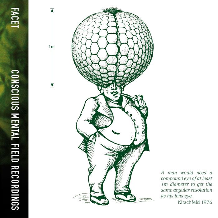 conscious mental field recordings facet 