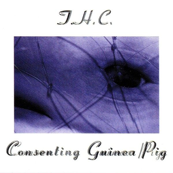 consenting guinea pi thc 