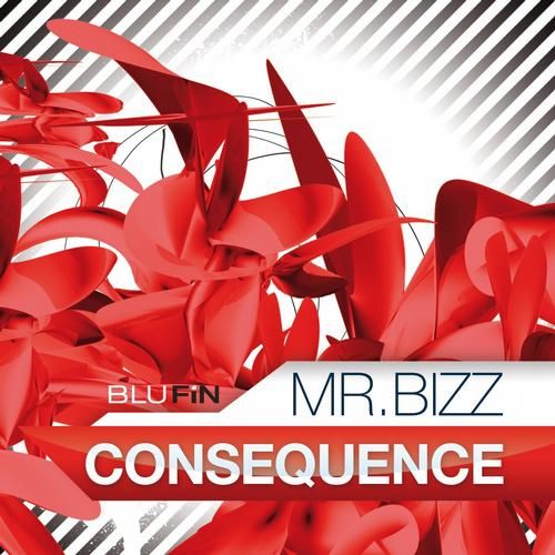 consequence mr bizz  