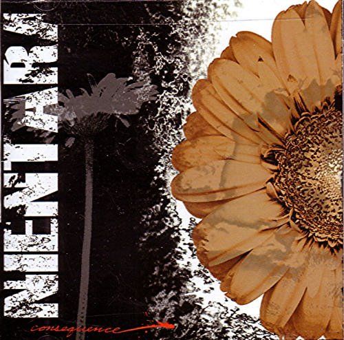 consequences nientara 