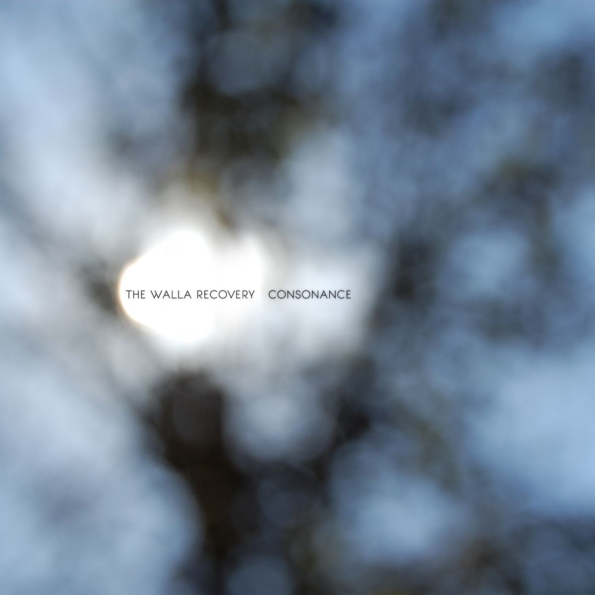 consonance the walla recovery 