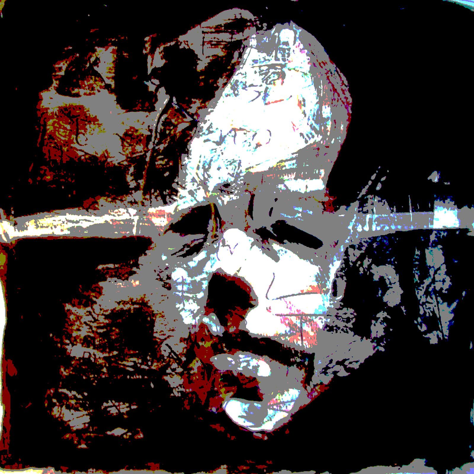 constant revisited mister vapor 