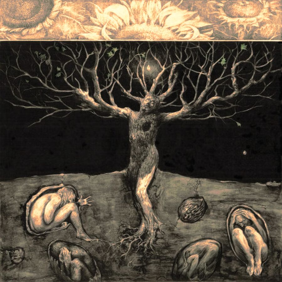 constant state of ob bash nova 