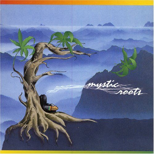 constant struggle mystic roots band 