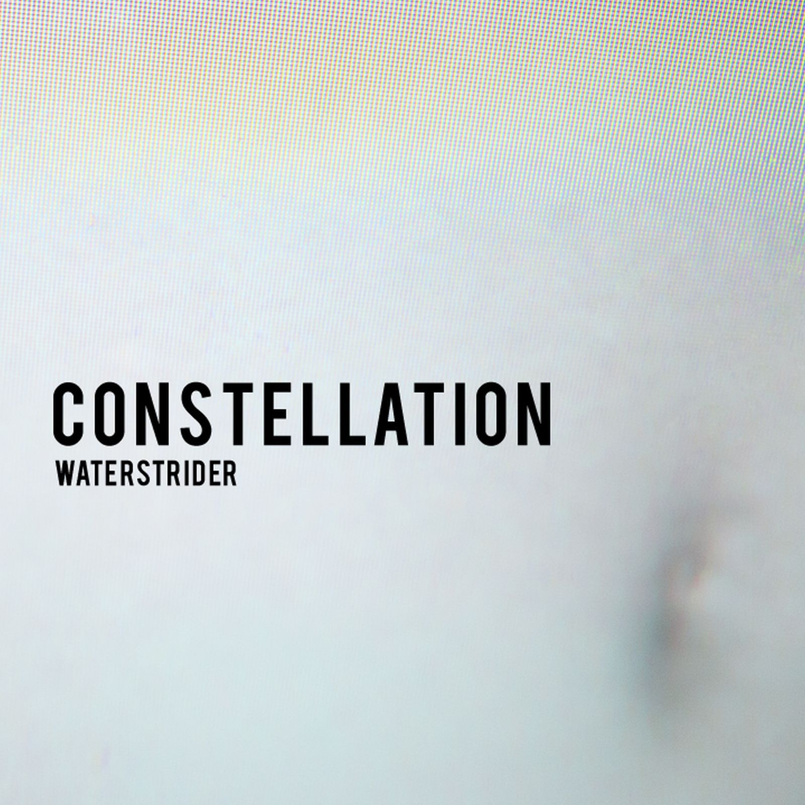 constellation waterstrider 