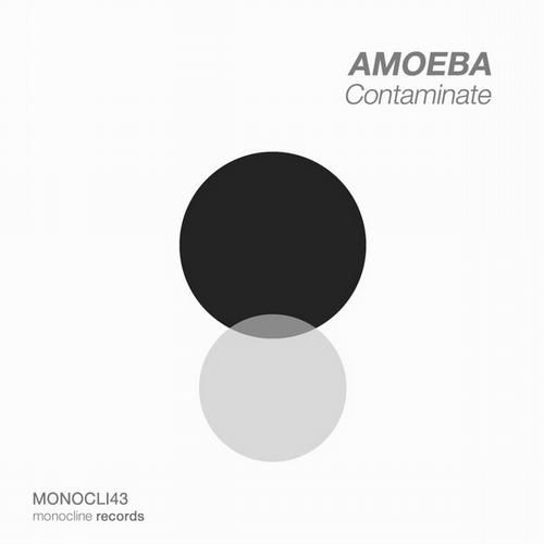 contaminate lp amoeba  