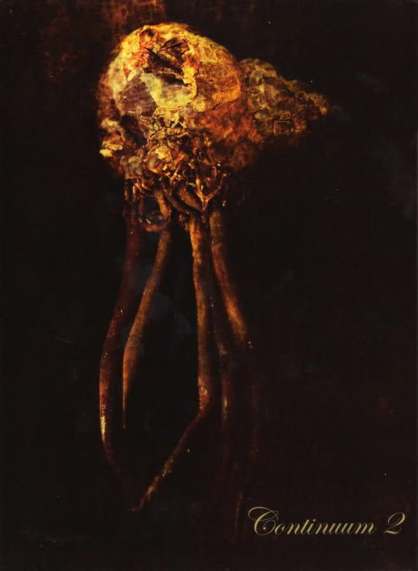 continuum 2 continuum 