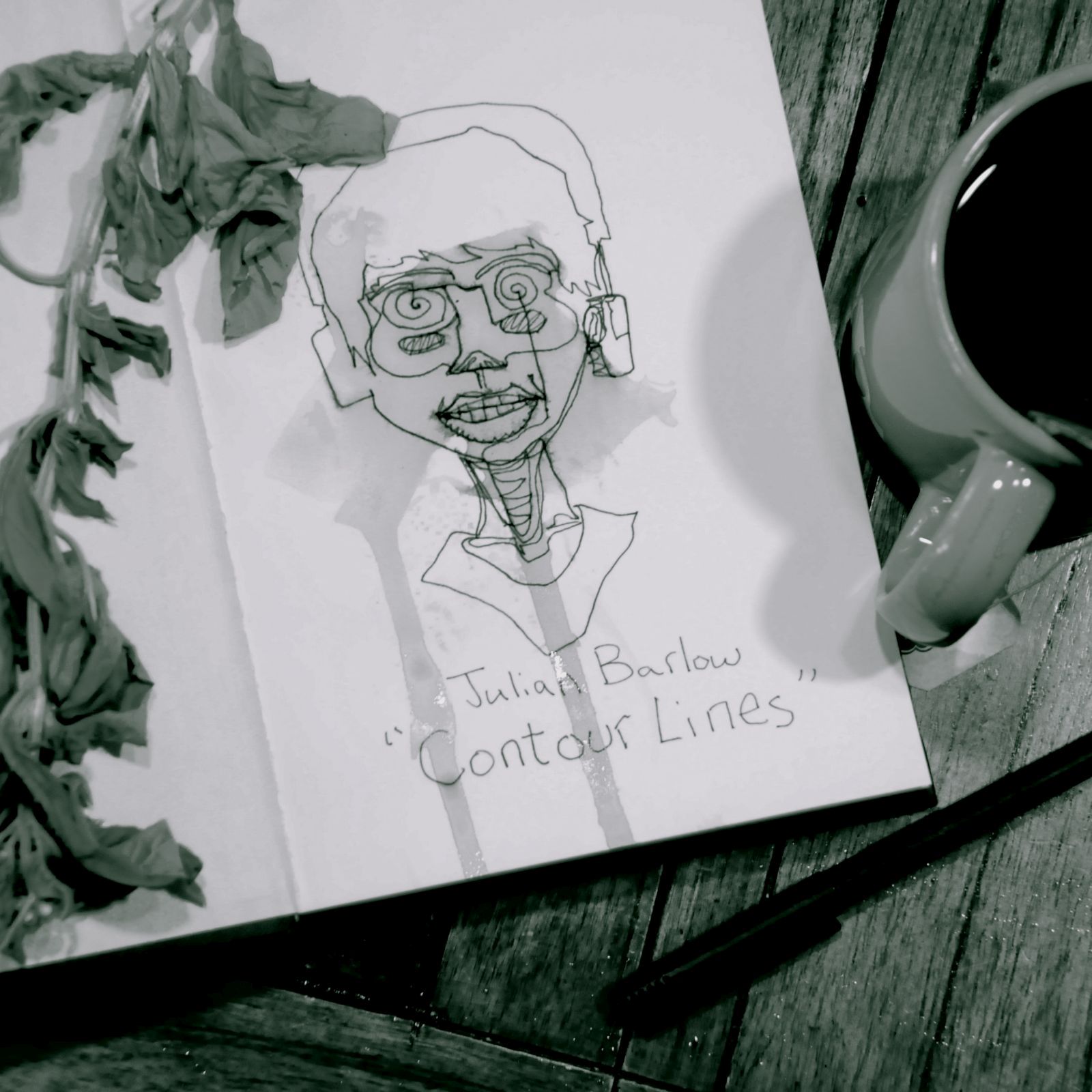 contour lines julian barlow 