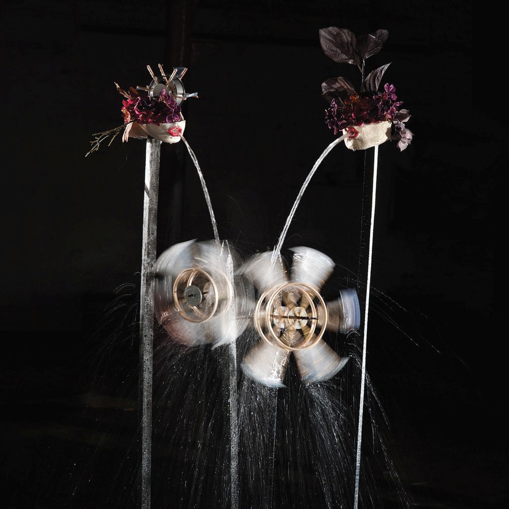 contour lines shield patterns 