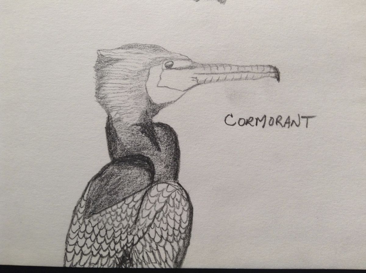 contraction the great slosh 